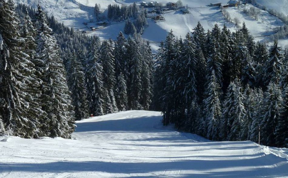 Ski Areas in Maria Alm