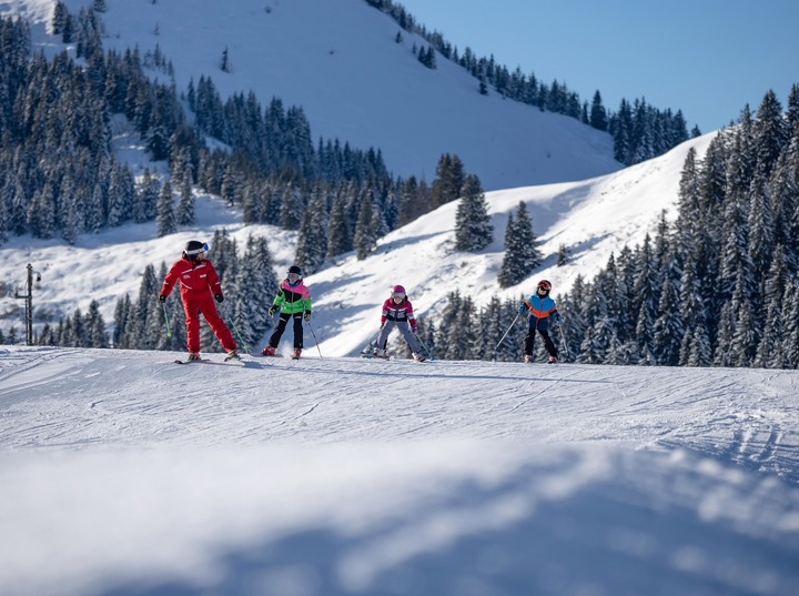 Ski Schools in Niederau-Oberau