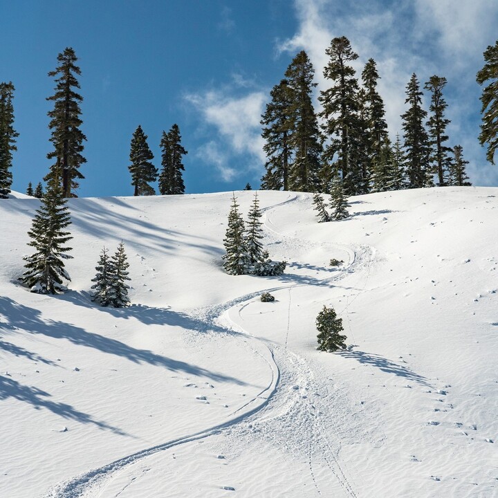 Palisades Tahoe Ski Holidays