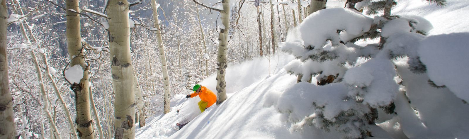 Beaver Creek Ski Holidays