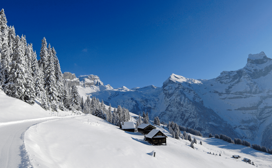 Snowboarding in Engelberg