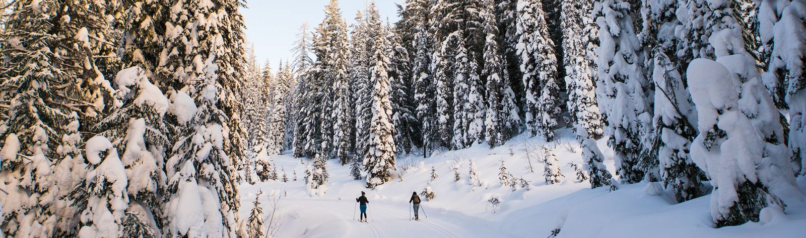 British Columbia Ski Resorts