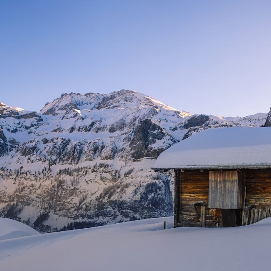 Ski Solutions Careers