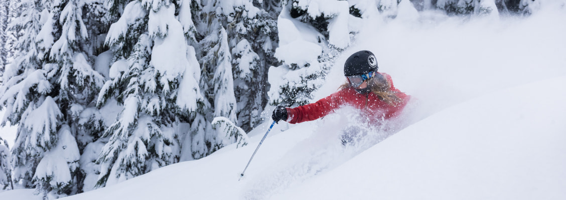 Whistler powder skiing