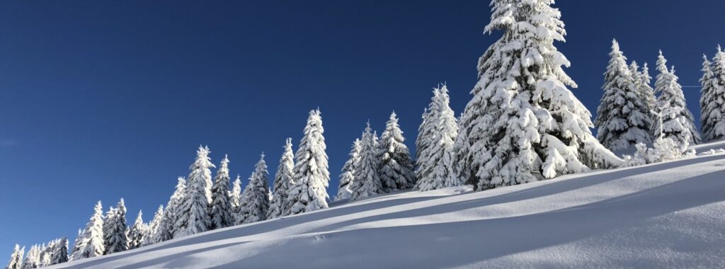 Morzine Best Ski Runs