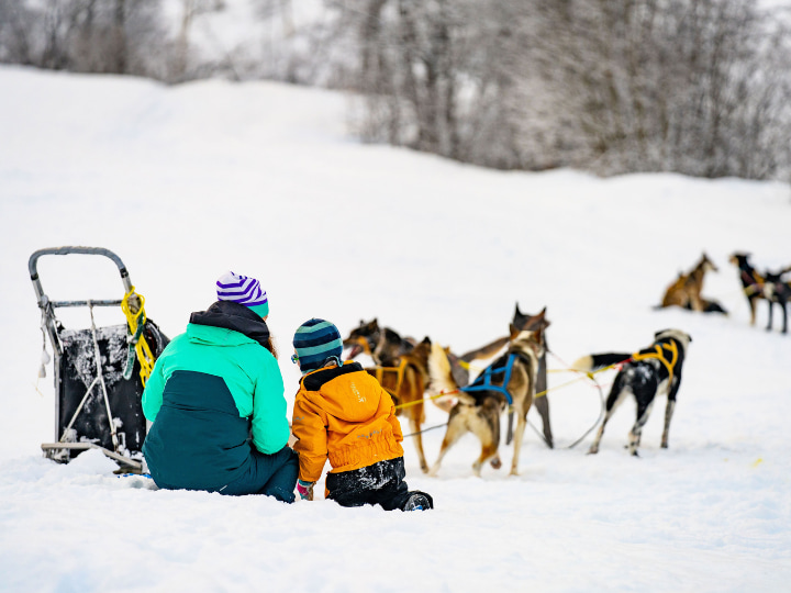 Myrkdalen Dogsledding