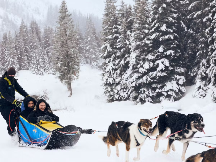 Dog sledding in Val d’Isère.