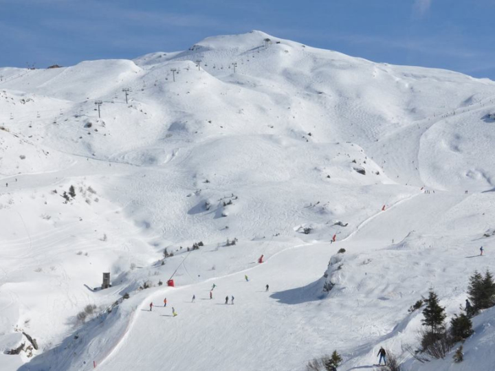 Bleue De Chavanette (Blue) in Avoriaz.