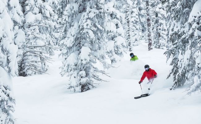 Store your new and old passport in a different place