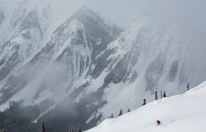 Kicking Horse