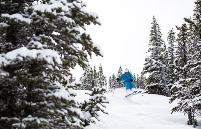 Jasper skiing 