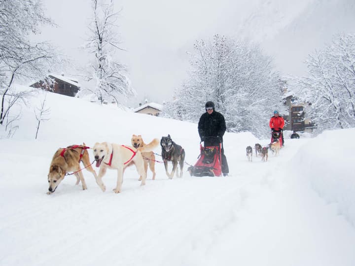 Dog-sledding in Courmayeur