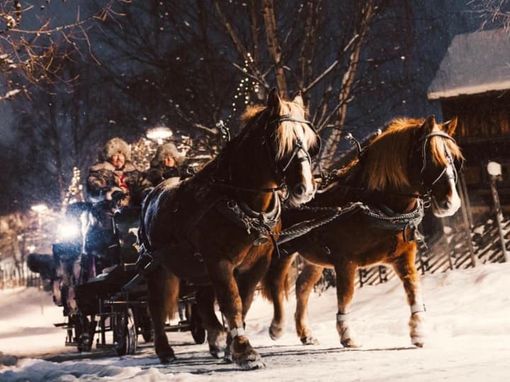 Horse-Drawn Sleigh Ride in Geilo