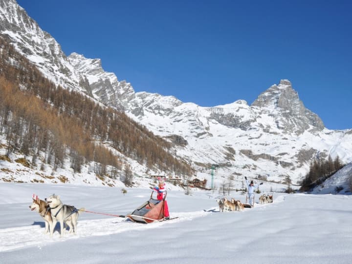 Dog Sledding in Cervinia