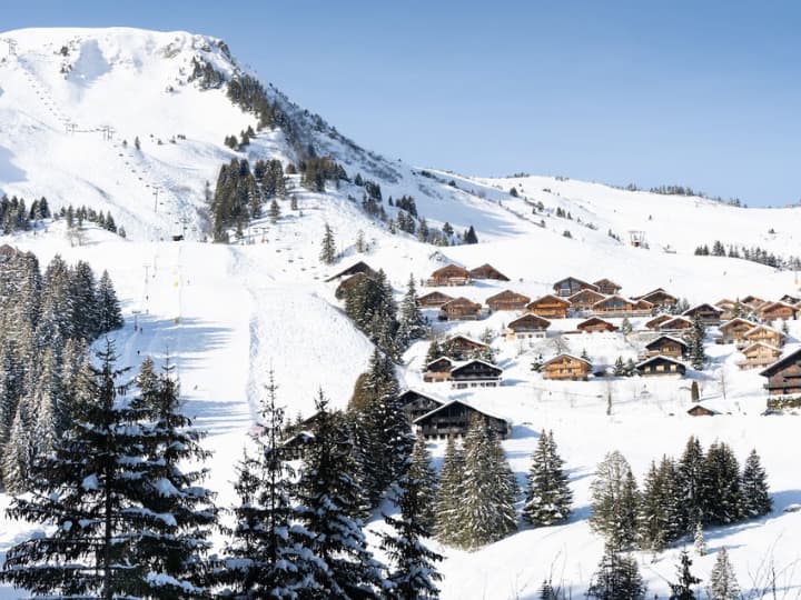 Les Crosets Ski Resort