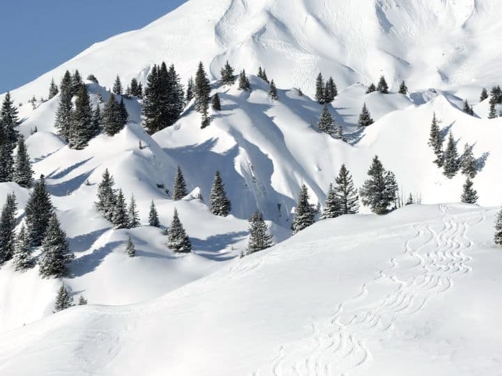 Pray For Snow